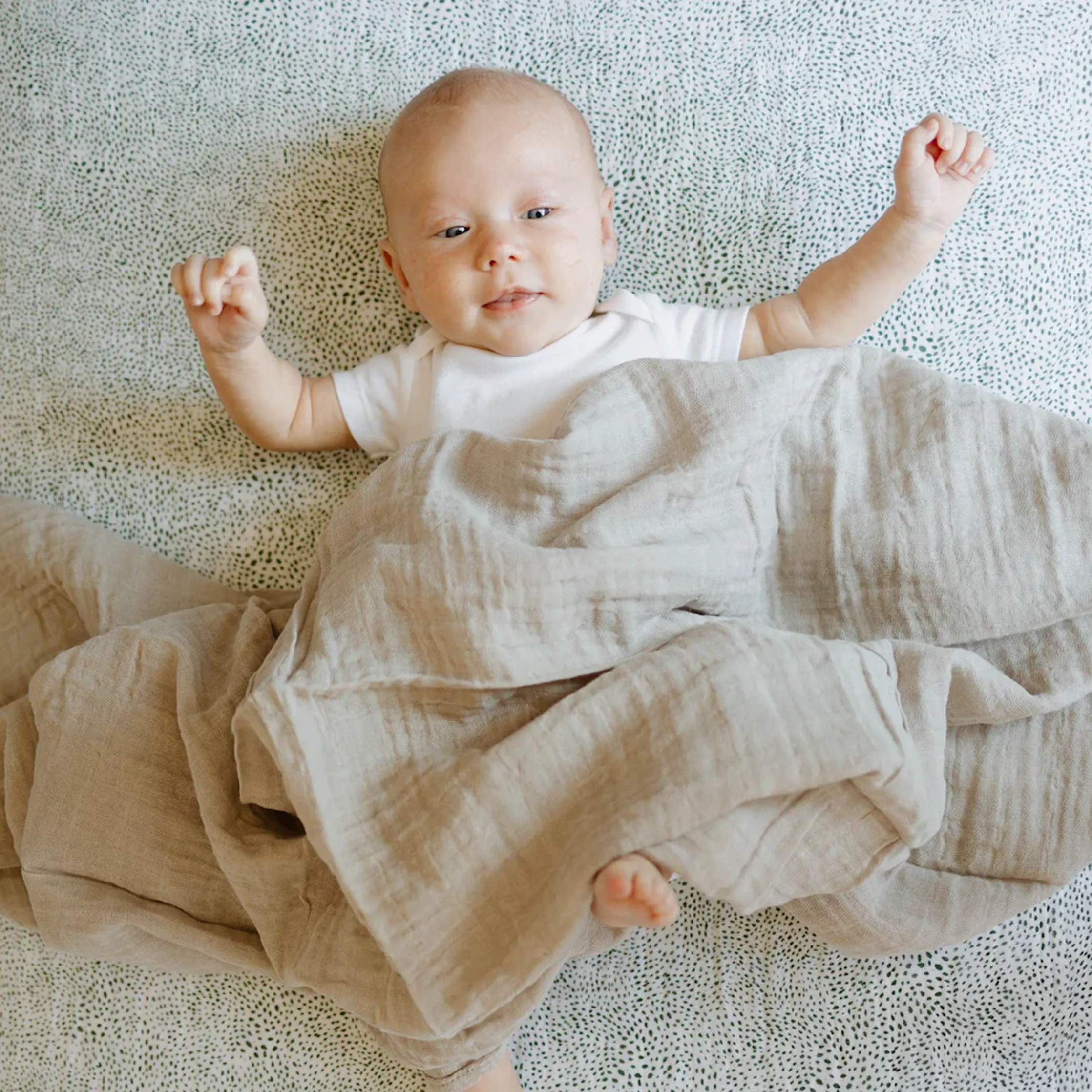 Cotton Muslin Crib Sheet - Green Seed