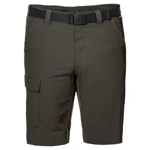 Jack Wolfskin Hoggar Mens Shorts  - Dark Moss